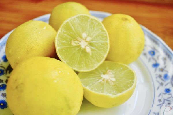 Nimbu Lemon निम्बू