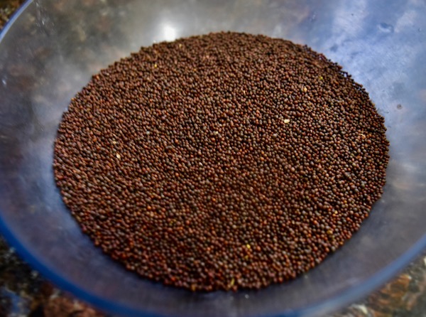 राइ Rai/ Mustard seeds